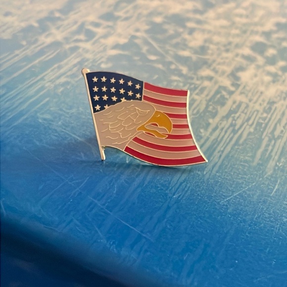 American Flag/Bald Eagle Pin - Picture 1 of 2